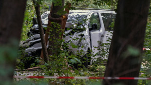 Attentato Berlino, 'il sospetto avrebbe tentato di unirsi all'Isis in Siria'