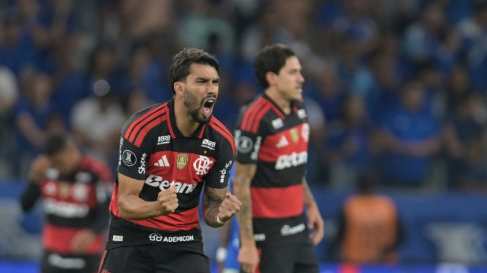 Brazil football clubs face massive sponsorship blow from betting ban
