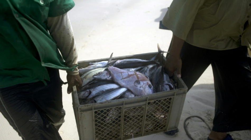 CIJ rejeita reivindica&ccedil;&otilde;es da Nicar&aacute;gua em disputa mar&iacute;tima contra Col&ocirc;mbia