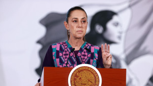 Migranti, Sheinbaum condanna i controlli stradali negli Usa