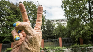 Skepsis &uuml;ber m&ouml;gliche milit&auml;rische EU-Ausbildungsmission f&uuml;r Kiew