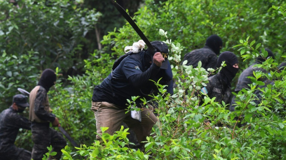 Militares desplegados en Honduras para evitar que se convierta en un pa&iacute;s productor de coca