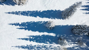 JO-2026: la neige tombe &agrave; point nomm&eacute; sur les Alpes italiennes