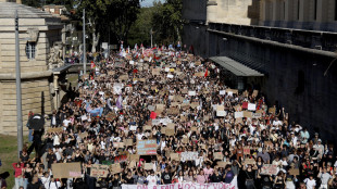 Ancora blocchi studenteschi in Francia, verso possibile 'convergenza' con gilet gialli