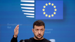 Papa Leone ha ricevuto Zelensky a Castel Gandolfo