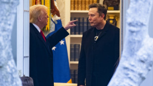 Musk deixa cargo no governo dos EUA, 'decepcionado' com lei orçamentária de Trump