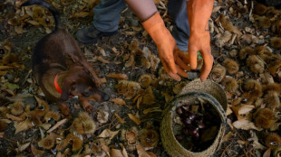 El desempleo en Espa&ntilde;a registra un ligero aumento en el tercer trimestre, al 10,45%