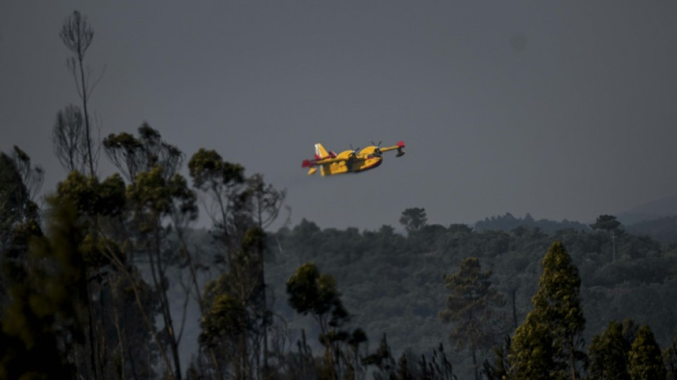 Controlados los incendios en Portugal pero la situaci&oacute;n sigue siendo "grave"