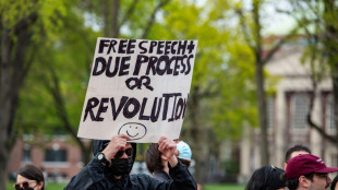 Antissemitismo e arabofobia: relatórios apontam males enraizados em Harvard