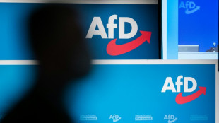 "Wende r&uuml;ckw&auml;rts zu Nationalismus": BDI-Pr&auml;sident warnt vor Wahlerfolgen der AfD
