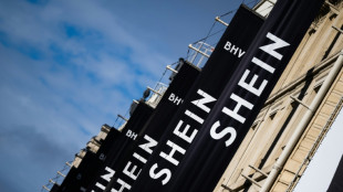 Shein cooperará con Francia en la investigación sobre muñecas sexuales de aspecto infantil