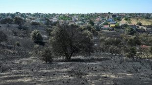 El incendio forestal que envolvió Madrid en una nube de humo está casi bajo control