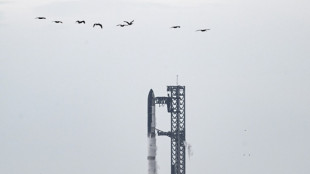SpaceX set once more for Starship test flight