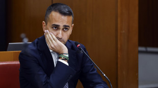 Di Maio, 'grande interesse nel Golfo per le nostre imprese'