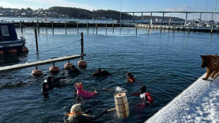 In Danimarca si festeggia il Carnevale con Fastelavn