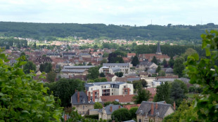 "Prime &agrave; l'accouchement": petite ville cherche mamans pour sauver sa maternit&eacute;