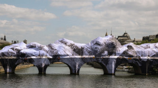 Il Pont Neuf trasformato in una grotta gonfiabile