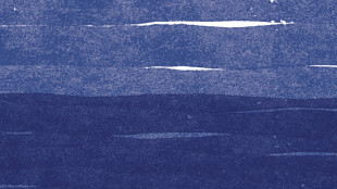 Sciatunostro, Ettore e Giovannino piccoli amici a Linosa