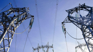 Ue, 'l'Italia tra i Paesi con prezzi dell'elettricità più alti'
