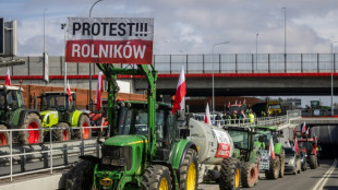 Ukraine: EU-L&auml;nder einigen sich auf Beschr&auml;nkungen f&uuml;r zollfreie Agrarimporte