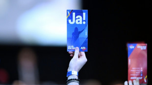 Statut für neue AfD-Jugendorganisation beschlossen