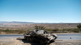 Offensive militaire "conjointe" Ethiopie-Erythr&eacute;e contre le Tigr&eacute;, selon les rebelles