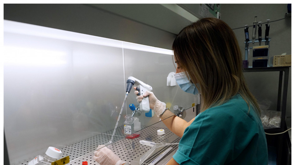 Una proteina sintetica contro le malattie neurodegenerative