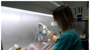 Una proteina sintetica contro le malattie neurodegenerative