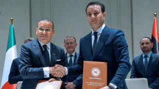 Gruppo San Donato, contratti da 2 miliardi per ospedali e impianto rifiuti in Libia