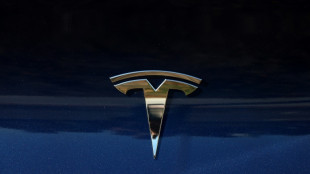 Tesla ruft wegen Softwareproblems 1,6 Millionen Elektroautos in China zur&uuml;ck