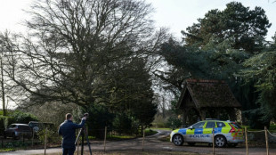 L'homme accus&eacute; d'avoir menac&eacute; l'ex-prince Andrew plaide non coupable