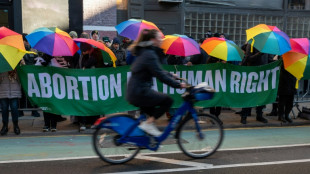 Kommission f&uuml;r Rechtm&auml;&szlig;igkeit von Abtreibungen in Fr&uuml;hphase der Schwangerschaft
