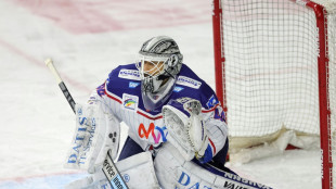 Endras verl&auml;sst Adler Mannheim - R&uuml;ckkehr nach Augsburg