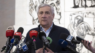 Tajani riferir&agrave; sull'Iran domani in commissione al Senato