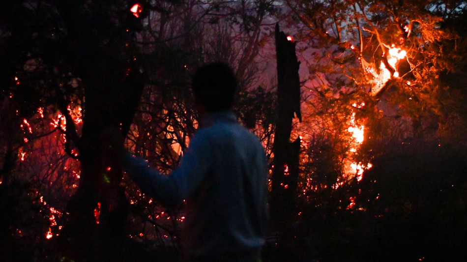 Argentina, dichiarata l'emergenza incendi in Patagonia