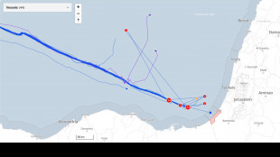 Legali Flotilla, 'alcuni attivisti in sciopero della fame'
