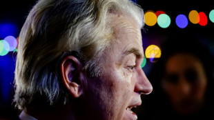 Wilders and the PVV: What do they stand for?