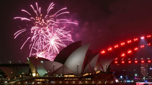 Mundo se despede de 2025, ano marcado por tr&eacute;gua em Gaza e volta de Trump