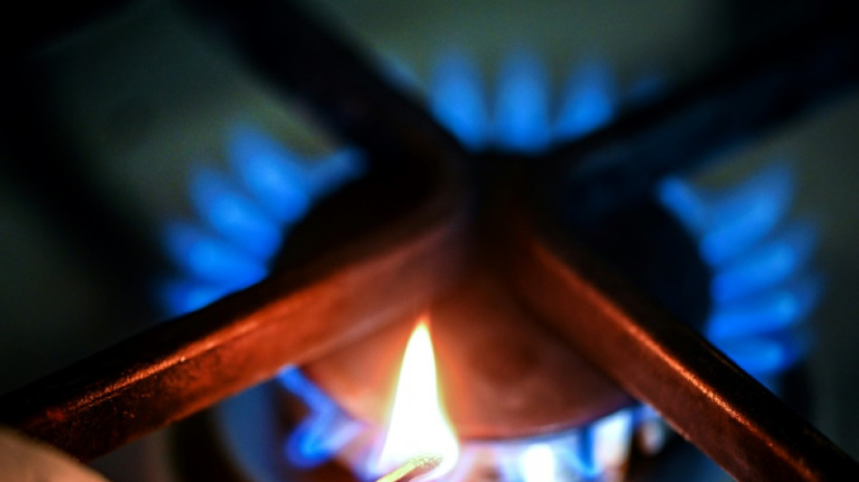 Gasverbrauch in Deutschland 2023 um f&uuml;nf Prozent gesunken 