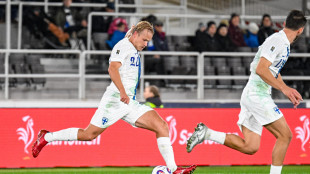 Calcio: playoff Serie B; al Palermo non basta il 2-0, Catanzaro in finale