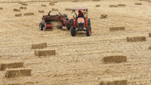 Lollobrigida 'mettiamo credito d'imposta su gasolio agricolo in Dl'