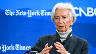 Lagarde remercie "ceux qui d&eacute;nigrent" l'Europe