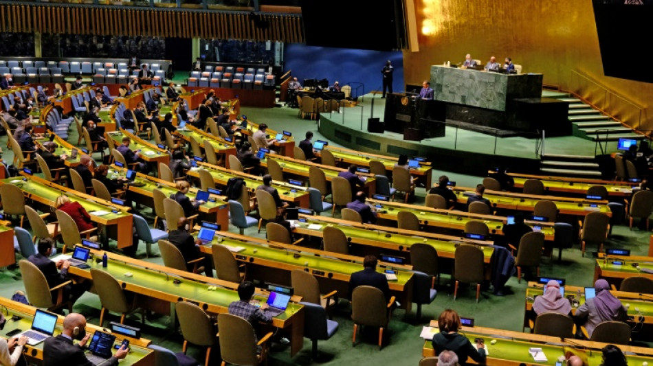 St&auml;ndige Mitglieder von UN-Sicherheitsrat m&uuml;ssen Veto k&uuml;nftig begr&uuml;nden
