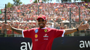Hamilton revels in Ferrari's 'sea of red' tifosi