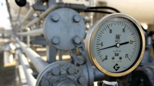 Il prezzo del gas chiude in rialzo e punta a 47 euro