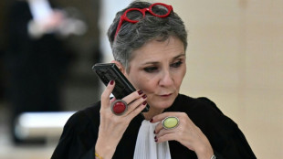 B&eacute;atrice Zavarro, avocate de Pelicot, "seule face au monde" mais sereine