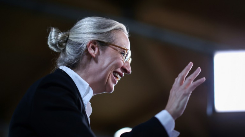 Weidel will EU Kompetenzen nehmen - und zur "Festung Europa" ausbauen