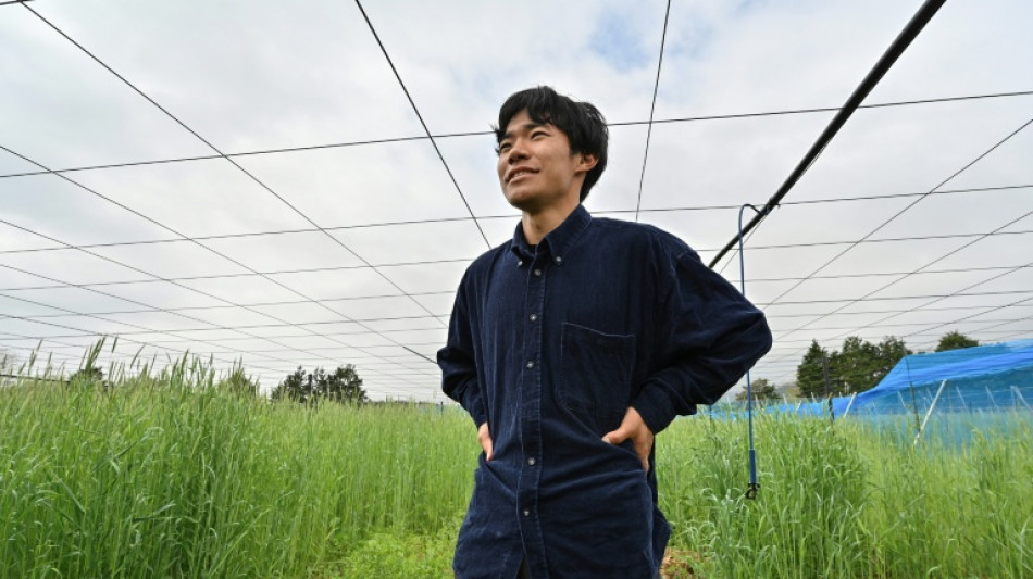 Con sus kiwis, un joven agricultor da nueva vida a la región de la catástrofe de Fukushima