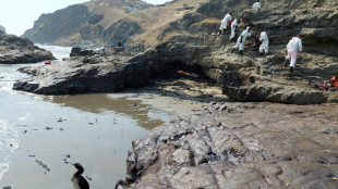 Tras derrame de crudo, Perú declara de interés nacional la "emergencia" por cambio climático