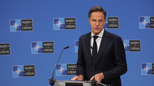 Rutte, 'riduzione truppe Usa in Europa &egrave; ci&ograve; che ci aspettavamo'